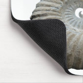 Tapis De Souris ammonite (Coin)