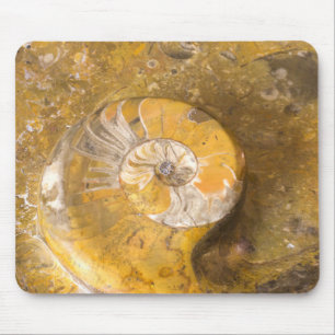 Tapis De Souris Ammonite et autres fossiles dans la photographie r