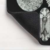 Tapis De Souris Ammonites (Coin)