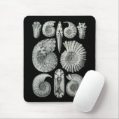 Tapis De Souris Ammonites (Avec souris)