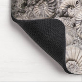 Tapis De Souris Ammonites (Coin)
