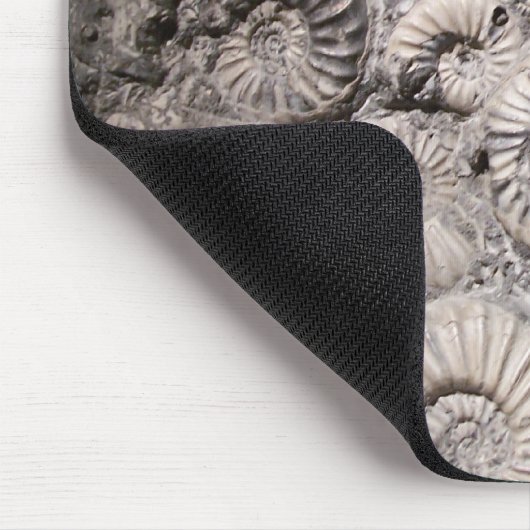 Tapis De Souris Ammonites (Coin)