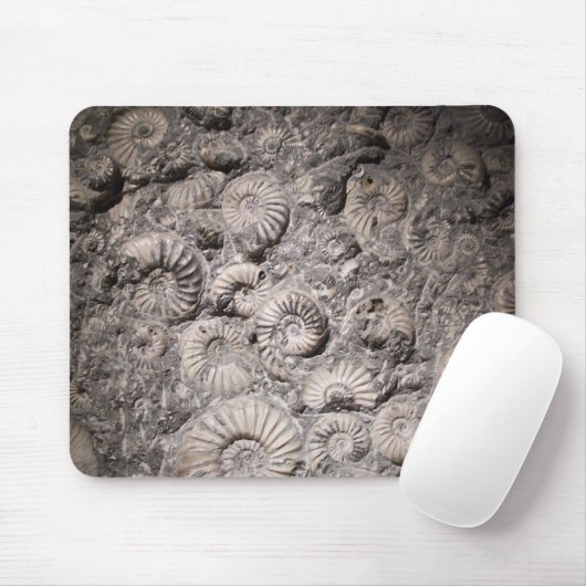 Tapis De Souris Ammonites (Avec souris)