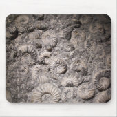 Tapis De Souris Ammonites (Devant)