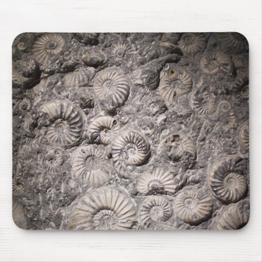Tapis De Souris Ammonites (Devant)