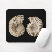 Tapis De Souris Ammonites (Avec souris)
