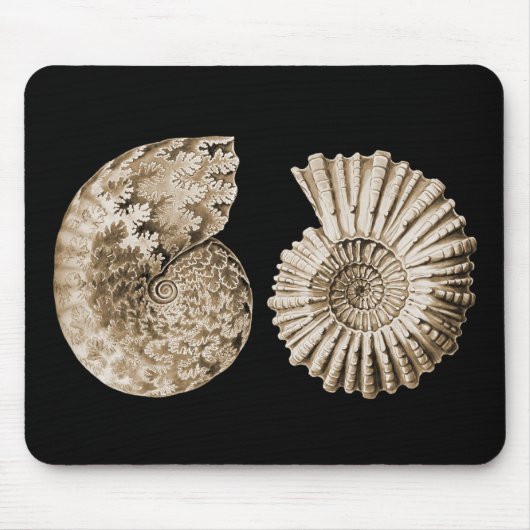 Tapis De Souris Ammonites (Devant)
