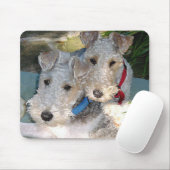 Tapis De Souris Amour (Avec souris)