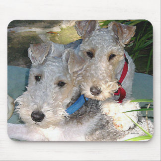 Tapis De Souris Amour