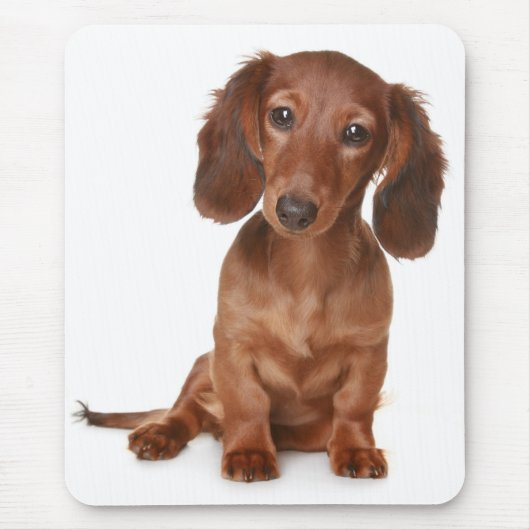 Tapis De Souris Amour Dachshund Chien Chien Coquelicot Ordinateur  (Devant)
