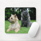 Tapis De Souris Amour de Cairn Terrier Chien Chien Mousepad (Avec souris)