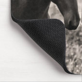 Tapis De Souris Amour de cheval (Coin)
