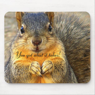 Tapis De Souris Amour des écureuils_