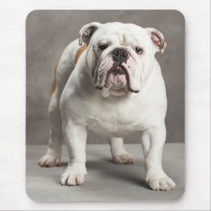 Tapis De Souris Amour du Chien-Chien-Chien-Chien-Chien-Chiffre Mou