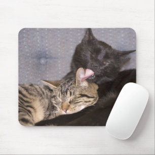 Tapis De Souris Amour fraternel