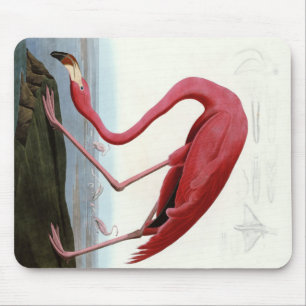 Tapis De Souris Amoureux-cadeau Flamant rose rose américain Flama