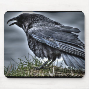 Tapis De Souris Amoureux de corbeaux faune oiseau corbeau