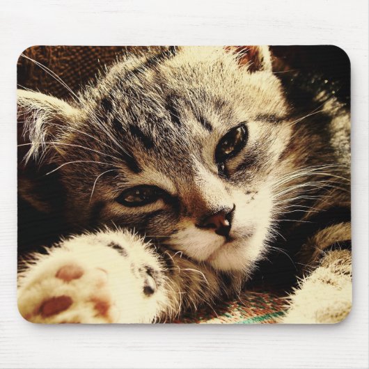 Tapis De Souris Amoureux de les chats (Devant)