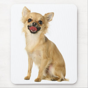 Tapis De Souris Amoureux des chiens chiot mignon Long Haired Chihu