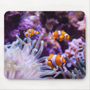 Tapis De Souris Amphiprion Ocellaris d'Ocellaris Clownfish  