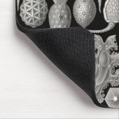 Tapis De Souris "Amphoridée; ou Star-Animals" (Coin)