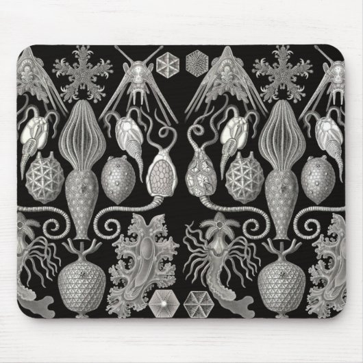 Tapis De Souris "Amphoridée; ou Star-Animals" (Devant)