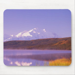 Tapis De Souris AN, États-Unis, Alaska, Parc national Denali, Wond