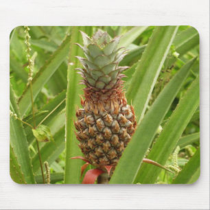Tapis De Souris Ananas sauvage Fruit tropical dans la nature