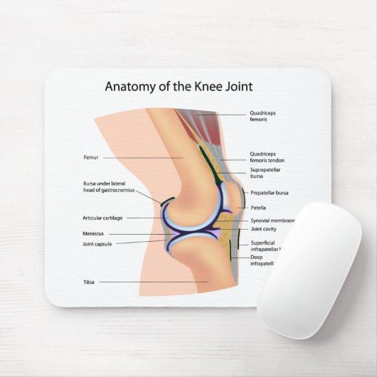 Tapis De Souris Anatomie de mousepad humain d'articulation de (Avec souris)