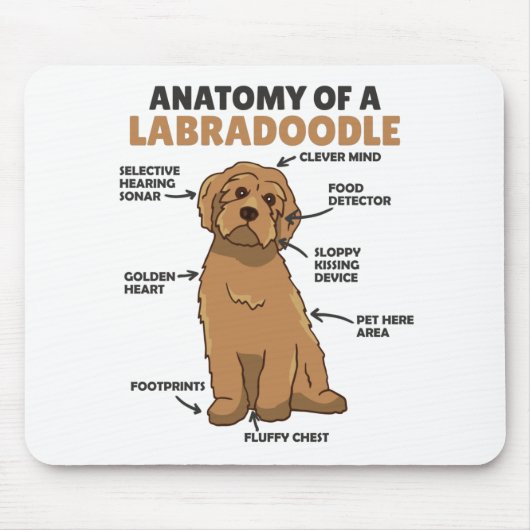 Tapis De Souris Anatomie D'Un Labradoodle Cute Canine Chiot (Devant)