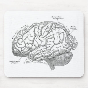 Tapis De Souris Anatomie vintage de cerveau