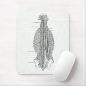 Tapis De Souris Anatomie vintage dessinant le dos (Avec souris)