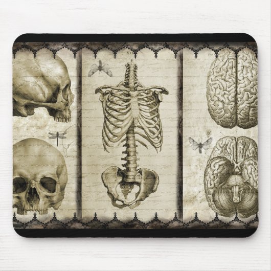Tapis De Souris Anatomiser (Devant)