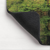 Tapis De Souris Anavilhanas, Amazonas, Brésil. Rainforest (Coin)