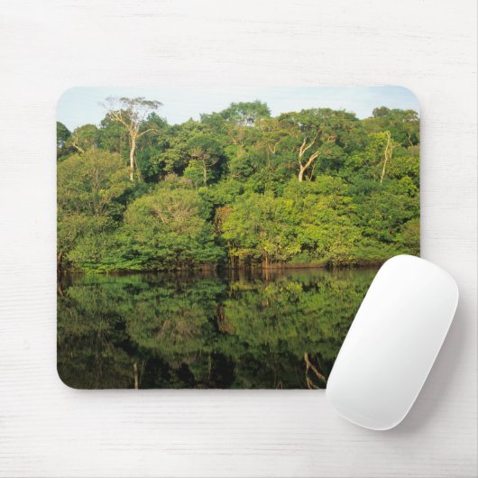Tapis De Souris Anavilhanas, Amazonas, Brésil. Rainforest (Avec souris)