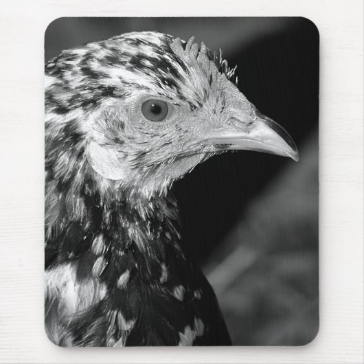 Tapis De Souris Ancona Hen (Devant)