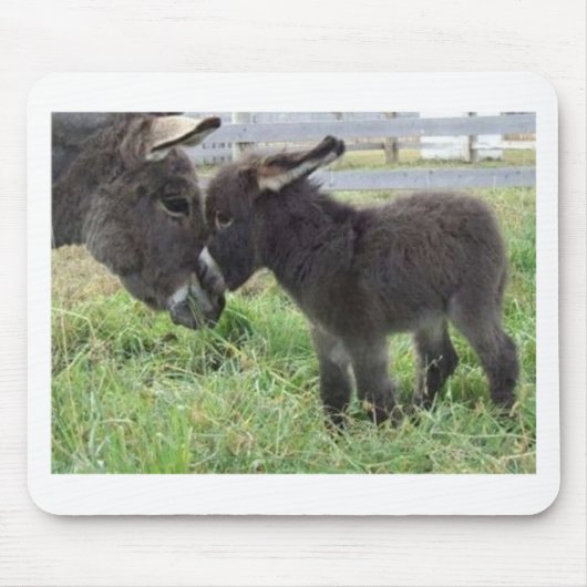 Tapis De Souris âne (Devant)