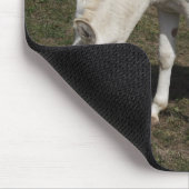 Tapis De Souris Âne blanc autrichien-hongrois (Coin)