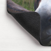 Tapis De Souris Âne de sourire Mousepad (Coin)