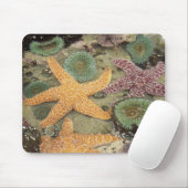 Tapis De Souris Anémones vertes géantes et étoiles de mer ocre (Avec souris)