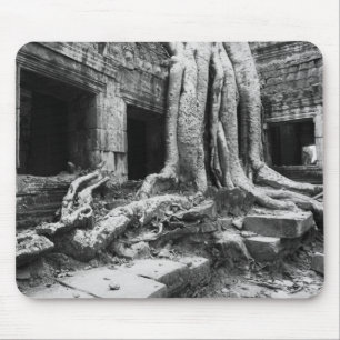 Tapis De Souris Angkor Cambodge, Ta Prohm Tree