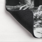 Tapis De Souris Angkor Cambodia, Ta Prohm Tree (Coin)