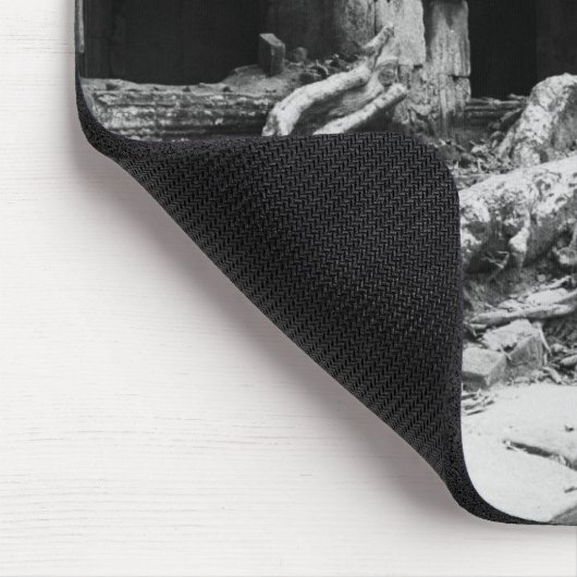 Tapis De Souris Angkor Cambodia, Ta Prohm Tree (Coin)