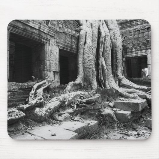 Tapis De Souris Angkor Cambodia, Ta Prohm Tree (Devant)