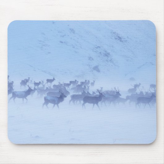 Tapis De Souris Angleterre (Devant)