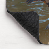 Tapis De Souris Anhinga (Coin)