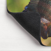 Tapis De Souris Anhinga et poissons (Coin)
