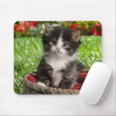 Tapis de souris animal 14 (Avec souris)