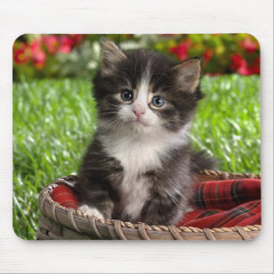 Tapis de souris animal 14