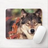 Tapis de souris animal 36 (Avec souris)